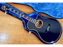 ヤマハ/Yamaha　APX-20